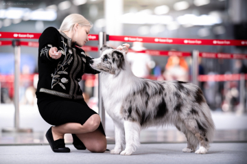 Queenline Don't Call Me Baby