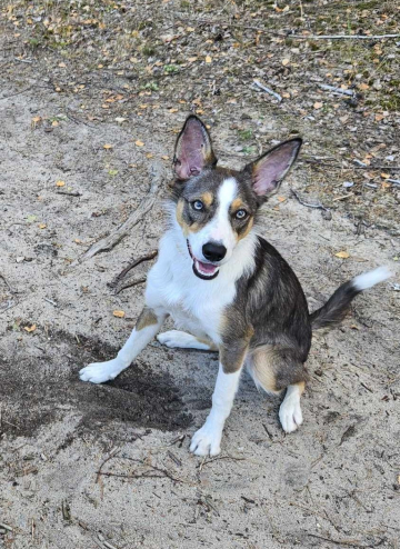 W Mia Vom Haus Seiffert