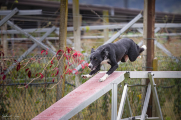 Tempesta dei Matiblu