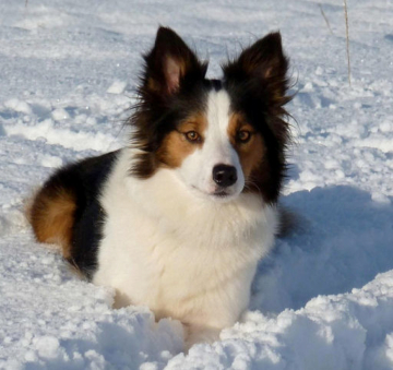 Drift Along At Traigh