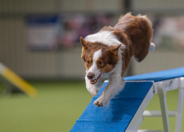 Nice Of You To Come Bye Hipster Doofus