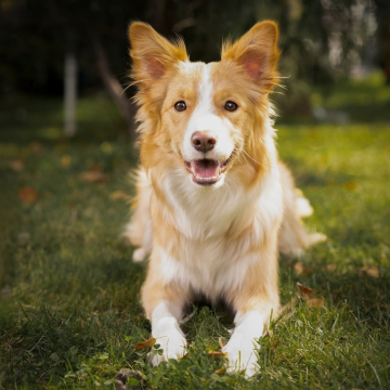 Seventy Seven Never Ending Novel