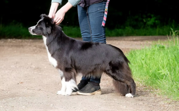 Go Mikami Money Talks