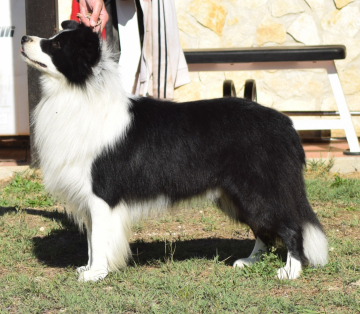 Keep It Simple Of Cleverland