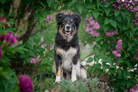 Destination of Life von Bocorom