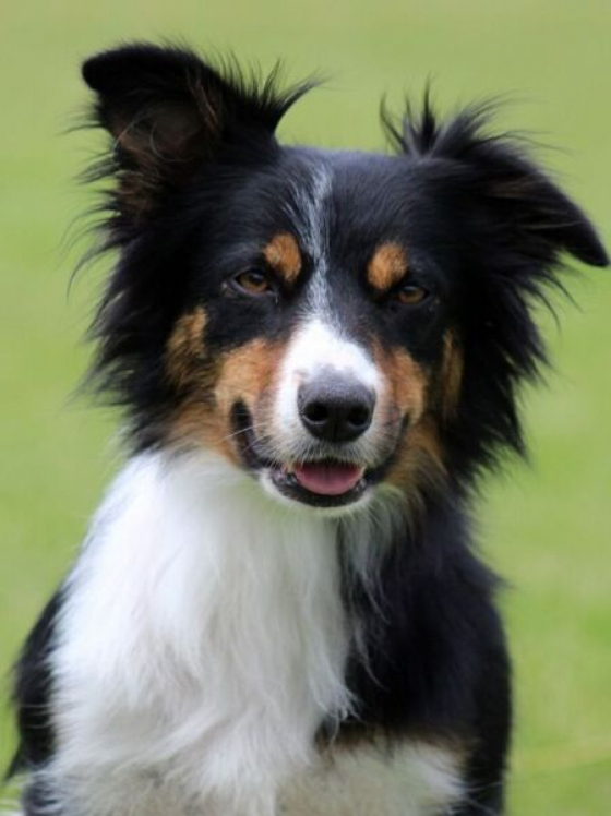 Emenems D'running Sushi