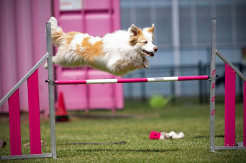 Nice Of You To Come Bye Dont Look Back