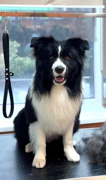 Ice Guard Ernest Blackwood