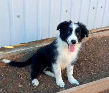 Kingdom of the Rainbow