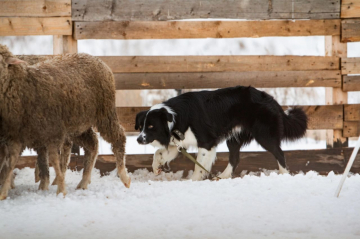 Ambassador Key To Success