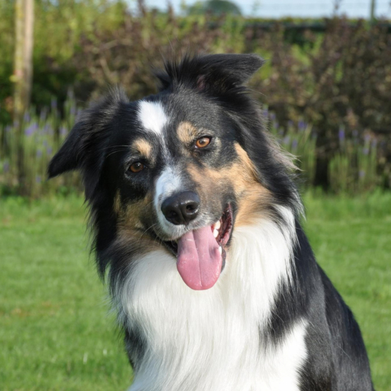 Nice Of You To Come Bye Take It Easy