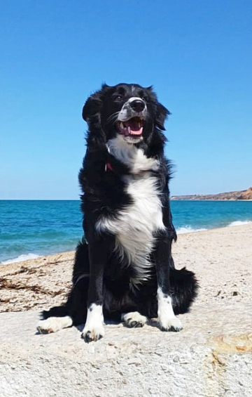 Felicita Is Always With Me