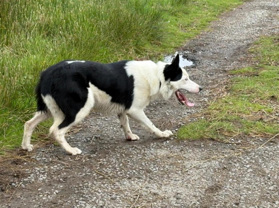 Max