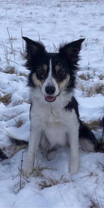 Something Like Quicket Twist