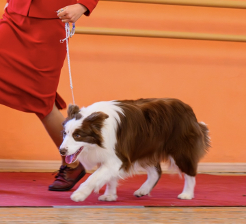 Seventy Seven See You Soon