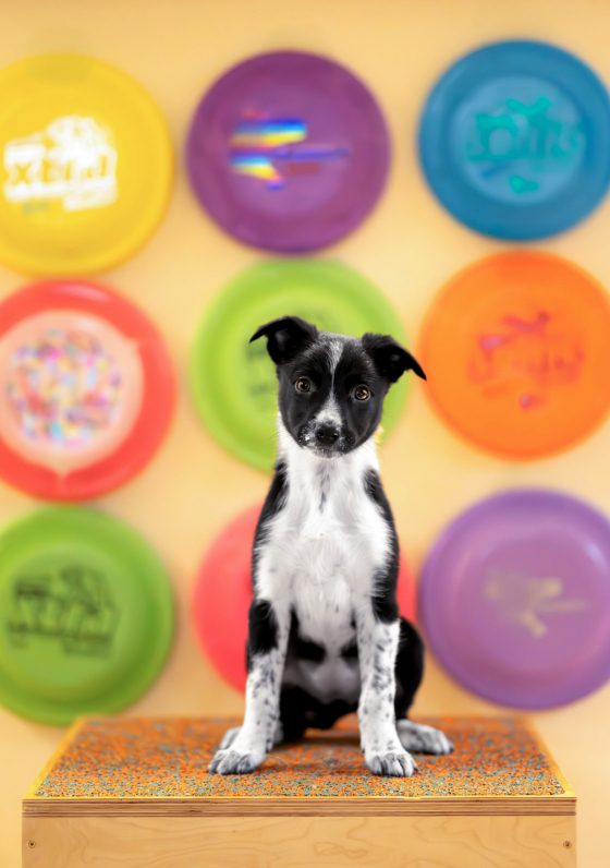 You Are The Light That Dances On Waves To Spark My Mind