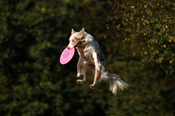 Raspberry Ice Cream from Siberia