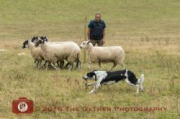 Pen-Y-Dre Jock