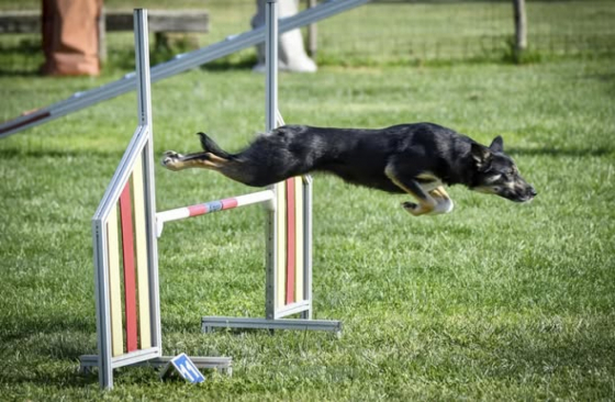 We Are One B' My Circle Of Life