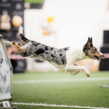 Infinity Runners Time of My Life