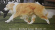 Locheil James Blonde