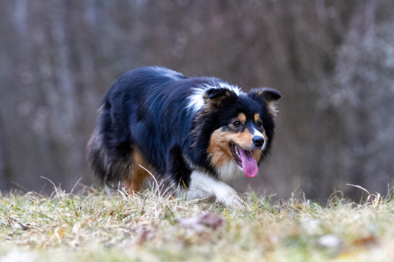 Matisha Made Eternity