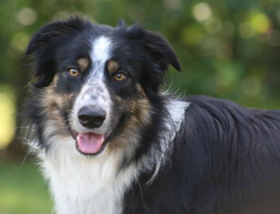 Believe In The Success Amazing Tweed