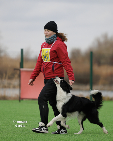 Ya Dragon Drive Lil Morty