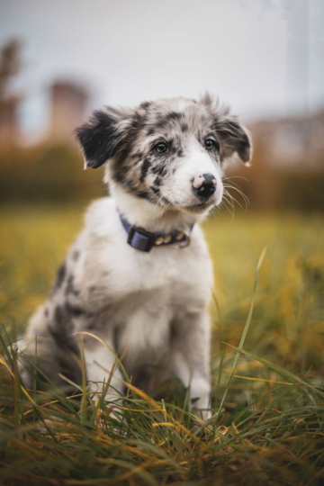 Extremely Successful