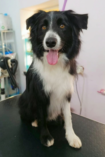 Aladdin Knows Impossible Possible