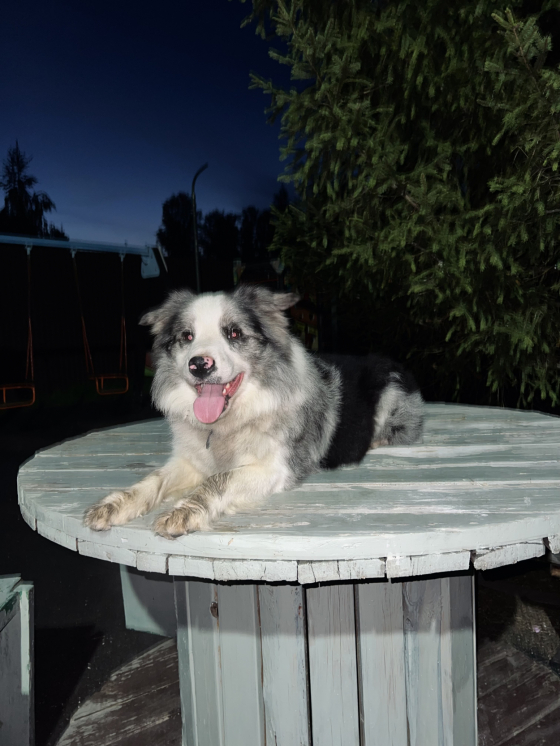 Aisknekht Sky Fantomhive