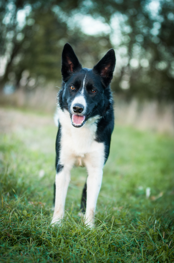 Brains'n Beauty Quod Erat Demonstrandum