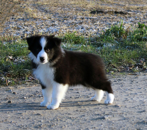 Mystic Realms Your Topaz Treasure