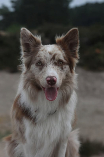 Nice Of You To Come Bye Purple Or Not