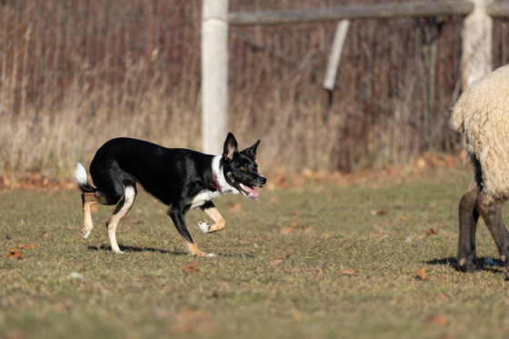 All Out's Spark of Joy