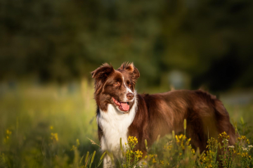 Find Your Magic Scigajac Wiatr