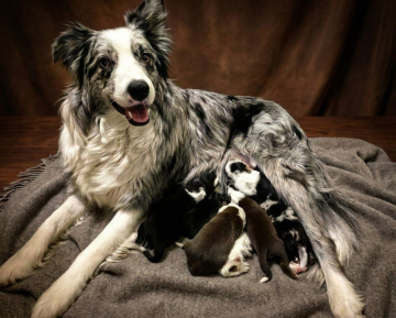 Zara is a Bright Fast Arrow