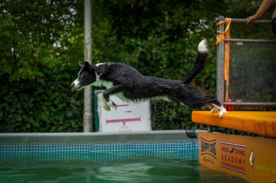 Big City Borders Kiko