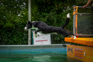 Big City Borders Kiko