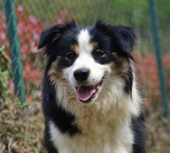 Due Parchi Pic Pokey Born To Be Light Of My Eyes