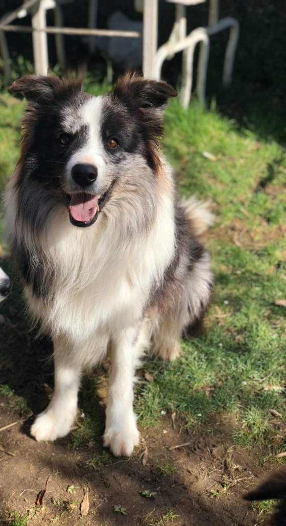 Chaos Of The Eternity