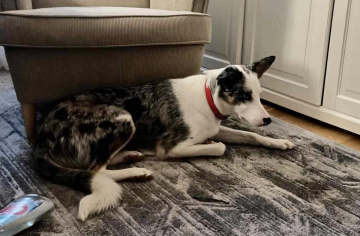 I Love Princessa Its my Dreamland