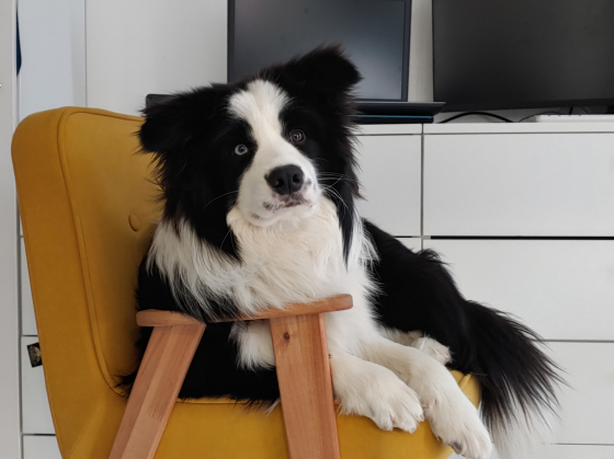 Ryzhaya Molniya Al' - Bano