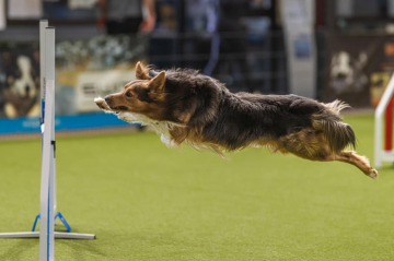 Luna Tale Raise me Up Ice