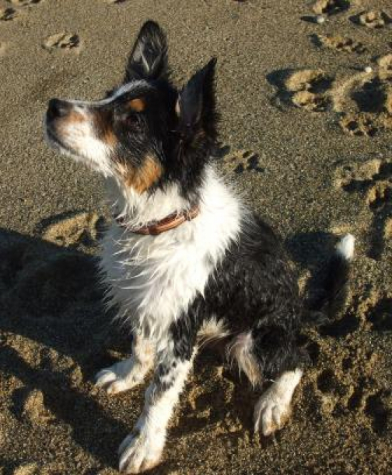 Backbeach Lifes a Dream