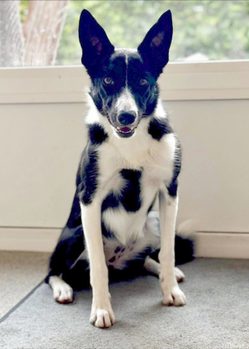 Remember The Feeling