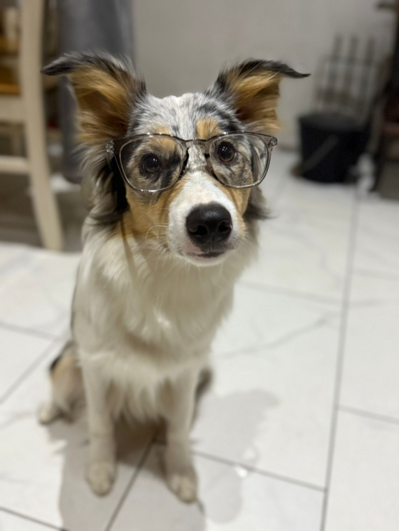 Yer Omen Sixth Quasar