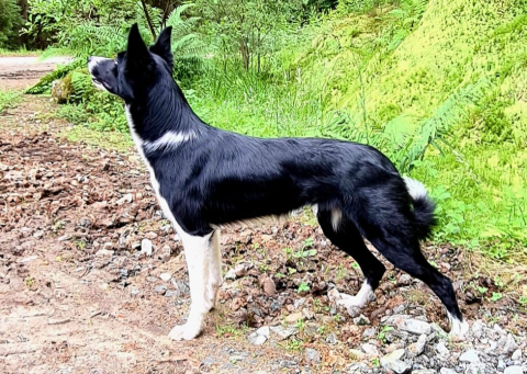 Newbold Noomi At Darleyfalls