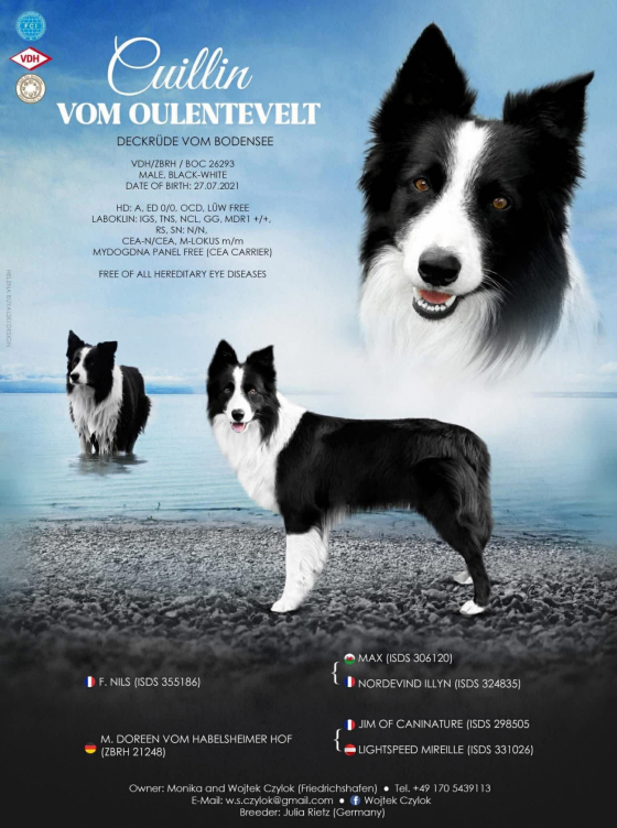 Cuillin Vom Oulentevelt