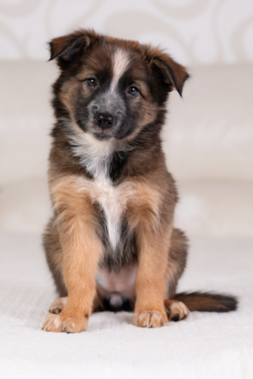 Embrace of Cosmo Dance